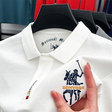 纯棉T恤男长袖中年商务翻领爸爸装polo衫男士休闲大码春秋上衣服，男装T恤，电商B212（原钱塘6029）