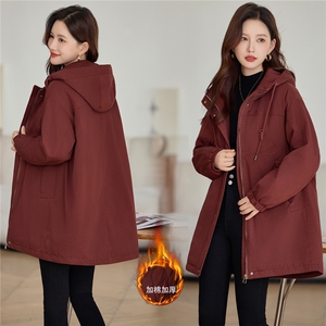 现货纯棉派克服女图片