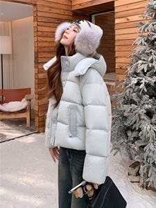 现货新款2163-P275-K399小个子羽绒面包服女图片