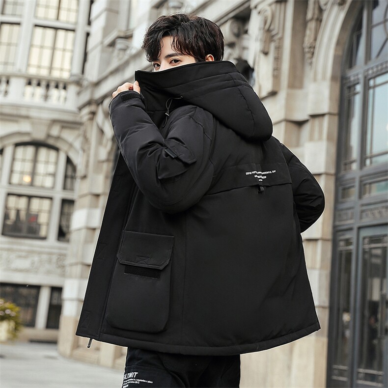 现货外贸侧飞图立领光板团体服班服宽松韩版情侣学生外套羽绒服,男装羽绒服,星座301D-5(原星座1415）