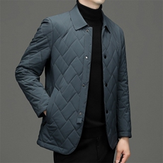 冬季新款中老年男士棉服翻领商务休闲棉衣加厚保暖外套男装，男装棉衣，电商B212（原钱塘6029）