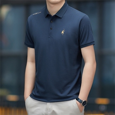 polo衫中年商务休闲男装夏季新款男士短袖T恤半袖翻领宽松上衣服，男装Polo衫，电商B212（原钱塘6029）