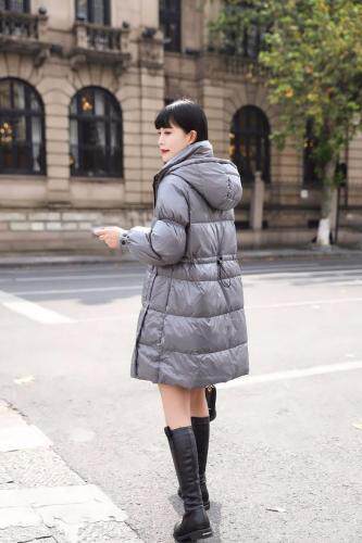 娇姿百合 JZBH102413