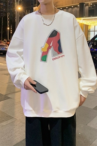 Y5036 P35秋季港风刺绣圆领卫衣男宽松长袖T恤打底衫外套图片