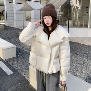 衣秀之家2319款短款大翻领加厚时尚羽绒服冬季保暖外套女图片