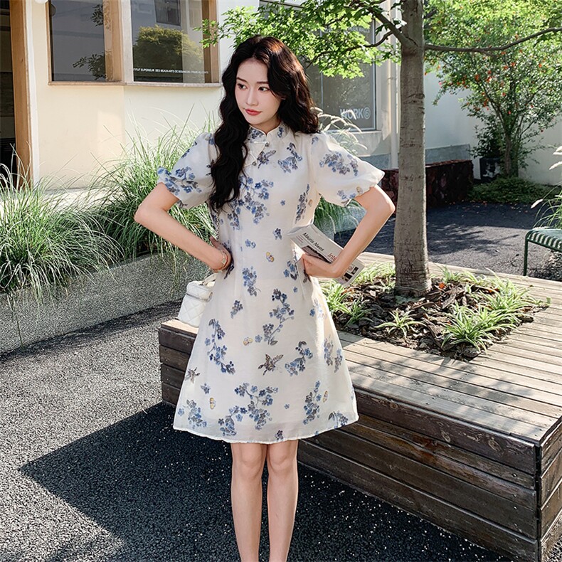 新中式立领旗袍印花连衣裙女欧洲站2025夏季新款泡泡袖显瘦A字裙,女装连衣裙,2C260