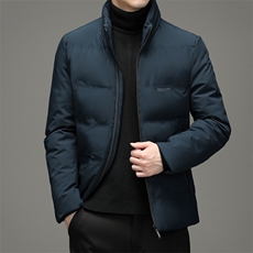 21冬季新款潮流立领棉服时尚商务休闲纯色棉衣男装ZELD9713-P130，男装棉衣，电商B212（原钱塘6029）