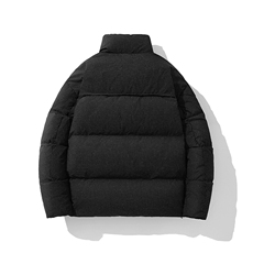 新标90白鸭绒简约休闲立领外套纯色加厚羽绒服ESY0212-P210，男装羽绒服，电商B306