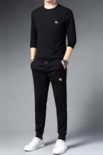 秋季新款长袖印花t恤休闲运动套装男中青年圆领宽松免烫两件套，男装休闲套装，电商B212（原钱塘6029）