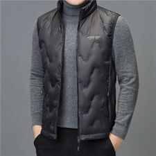 2023年休闲时尚高端男士羽绒服马甲P230，男装羽绒服，电商D223-1