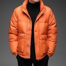中年立领羽绒服休闲商务保暖厚款外套爸爸装上衣BJY08177-P170，男装羽绒服，电商B212（原钱塘6029）