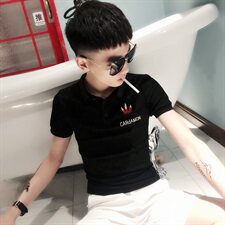 夏季短袖POLO衫社会小伙快手网红男半袖刺绣T恤C301B-PL06-P40，男装T恤，电商C301B