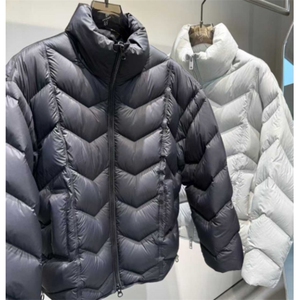 (网图) 90白鸭绒200-230克 高充绒休闲龟背羽绒服313B-88081-P350图片