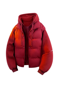 立体新款冬季羽绒棉服棉袄连帽假两件韩版宽松外套A436-2511-P85图片