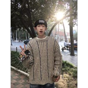 网图现货 混色条纹针织毛衣慵懒高级感男圆领套头衫B49-P50图片