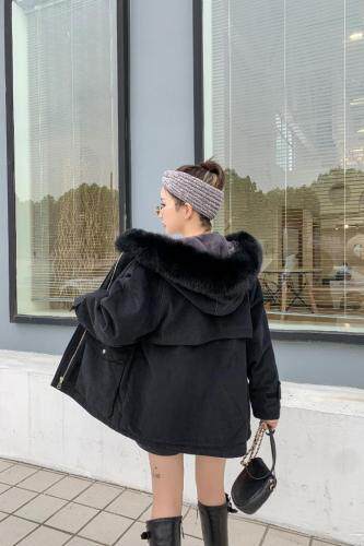 新款派克服，女装，菲特佳人