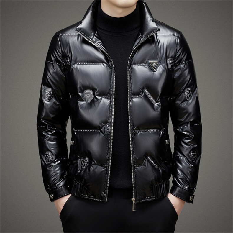 DJ22133钱塘2020-3冬季厚款时尚休闲立领中年男士羽绒皮衣P340，男装皮衣，钱塘207-3