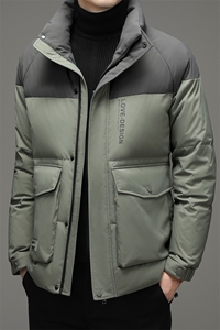 羽绒服冬季男短款休闲立领中青年男士冬装外套DFLDY8002-P280图片