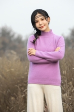 半高领羊毛衫女套头2024年新款秋冬季保暖打底衫，女装羊毛衫，赛冬羊绒