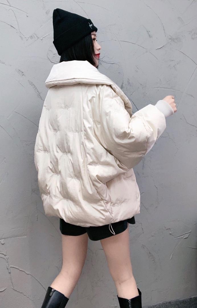 SGH2095欧范围脖领刺绣印花小众百搭百分百羽绒外套,女装,L·H·X