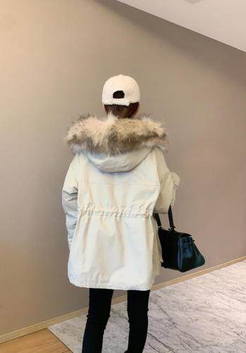 金蕃茄 JFQJFQ103305