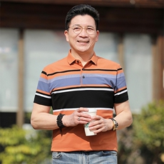 爸爸夏装短袖t恤男装丝光棉上衣时尚商务休闲翻领短袖polo衫透气，男装T恤，电商B212（原钱塘6029）