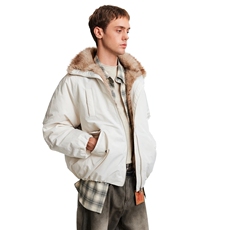 203-6MY8856P108冬季氛围感毛领座山雕面包服，鞋类箱包手腕包，星座203-6(原电商259)