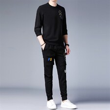 中青年男士秋季运动套装长袖圆领t恤两件套休闲印花纯色套装，男装休闲套装，电商B212（原钱塘6029）