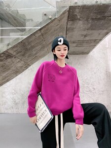 靓晶晶加绒卫衣图片