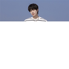 白条纹