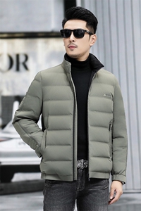 B8305钱塘2020-3时尚休闲冬季厚款立领简约中年男士羽绒服P220图片
