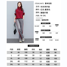 现货2025年新款春装高级时尚休闲运动简单气质大方套装，女装套装/套裙，凝聚力