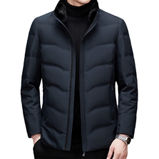 2023冬季新款羽绒服立领外穿商务休闲潮流外套男装MSNA2166-P330，男装羽绒服，电商B212（原钱塘6029）