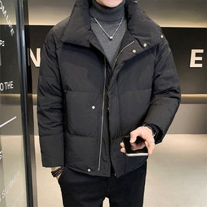 男士羽绒服冬季2025新款宽松立领加厚面包服外套 A313-9988-P200图片