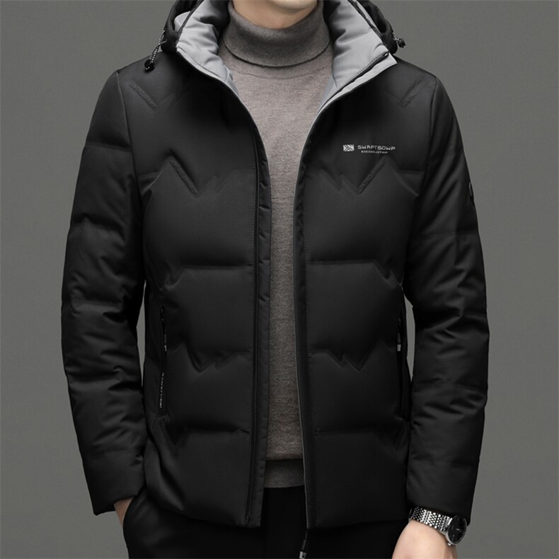 DF8233钱塘2020-2中年男士冬季厚款商务休闲简约有帽羽绒服P240图片