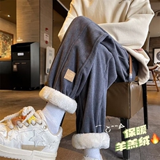 男新款青少年时尚羊羔绒休闲裤KY101P48，男装休闲裤，星座1116-2