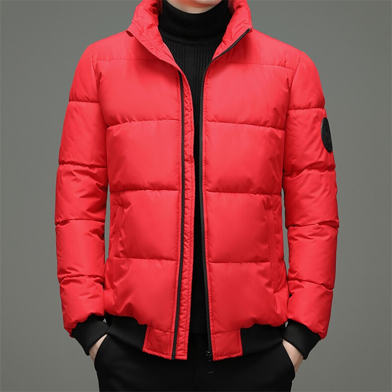 冬季潮流男新款保暖纯色连帽外套棉衣休闲棉服面包服ZG2822-P95，男装棉衣，电商B212（原钱塘6029）