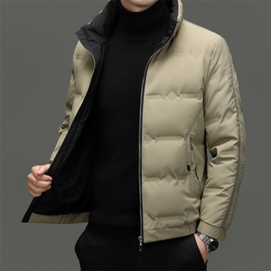 男装羽绒服AE22309立领夹克短款羽绒服图片
