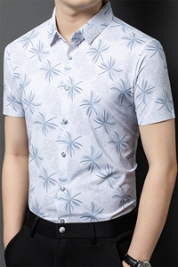 R-ZC1038夏季新款男士短袖衬衣百搭衬衫商务男装图片
