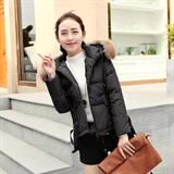 时尚保暖女士棉服短款修身显瘦羽绒棉衣外套冬季新款加厚大毛领棉袄，女装棉衣/棉服，蓝诺裳