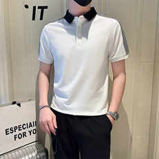 店主风社会小伙男士拼接翻领POLO衫男T恤上衣301A-1/PL110/P55，男装T恤，星座301A-1