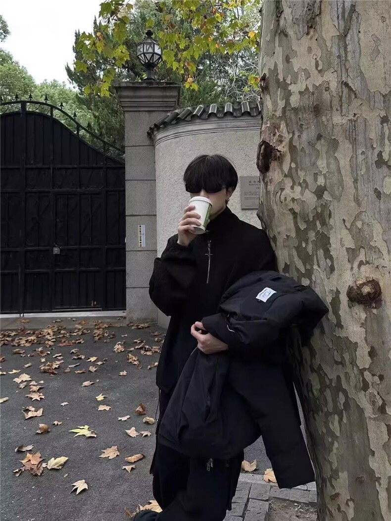 立领半拉链卫衣男ins小众设计感金属拉链WY18P40,男装卫衣,星座1116-2