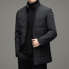 羽绒服外套男立领商务休闲中年男装冬季中老年爸爸装HL2166-P390，男装羽绒服，电商B212（原钱塘6029）