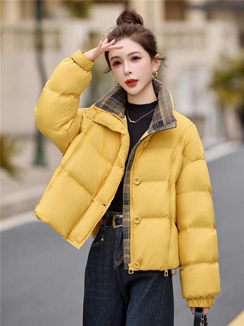 2025年冬季常规无帽立领双拉链90白鸭绒羽绒服,女装羽绒服,艾尚靓装