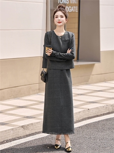 灰色休闲时尚套装裙女2025秋季新款法式今年流行马甲半身裙两件套图片