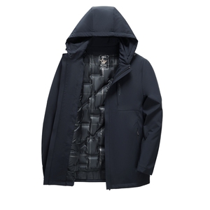 BAMJ-8906钱塘2020-2中年男士商务休闲连帽百搭简约羽绒服P255图片