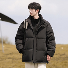新标白鸭绒立领假两件羽绒服时尚休闲简约百搭外套BL0620-P248，男装羽绒服，电商B306