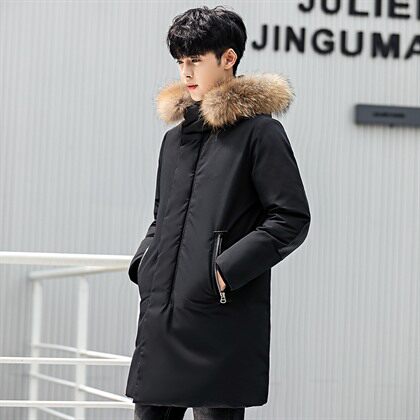 电商B247 2020冬季新款高品质男士修身时尚50绒羽绒服 1780 P220图片
