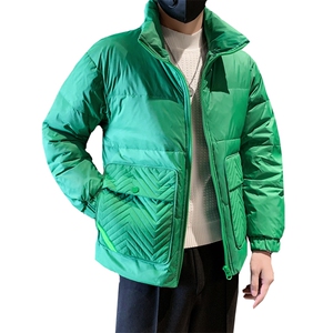 立领款白鸭绒新标50绒保暖休闲大口袋款 B226-9009-P195图片