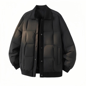 2025新款男士简约翻领羽绒服 90白鸭绒新标图片